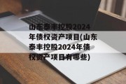 山东泰丰控股2024年债权资产项目(山东泰丰控股2024年债权资产项目有哪些)