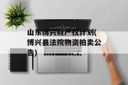 山东博兴财产权计划(博兴县法院物资拍卖公告)