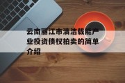 云南丽江市清洁载能产业投资债权拍卖的简单介绍
