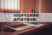 2023济宁公司债权资产(济宁地方债)