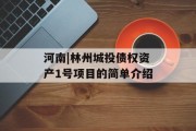 河南|林州城投债权资产1号项目的简单介绍