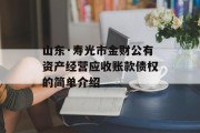 山东·寿光市金财公有资产经营应收账款债权的简单介绍