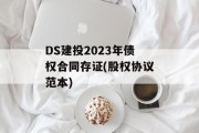DS建投2023年债权合同存证(股权协议范本)