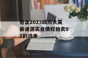 包含2023四川大英县通源实业债权拍卖02的词条