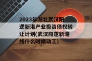 2023年湖北武汉阳逻新港产业投资债权转让计划(武汉阳逻新港线什么时候动工)