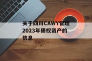 关于四川CAWY管理2023年债权资产的信息