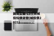 国资公募-13个月城投标债资管(城投债2021)