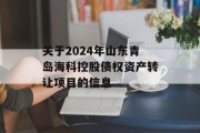 关于2024年山东青岛海科控股债权资产转让项目的信息
