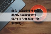 山东·蒜都金乡土地发展2023年政信债权资产(山东金乡蒜还会涨价吗)