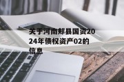 关于河南郏县国资2024年债权资产02的信息