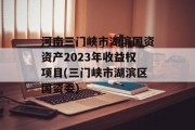 河南三门峡市湖滨国资资产2023年收益权项目(三门峡市湖滨区国资委)