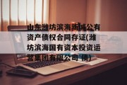 山东潍坊滨海新城公有资产债权合同存证(潍坊滨海国有资本投资运营集团有限公司 债)