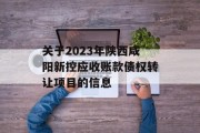 关于2023年陕西咸阳新控应收账款债权转让项目的信息