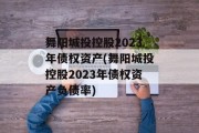 舞阳城投控股2023年债权资产(舞阳城投控股2023年债权资产负债率)