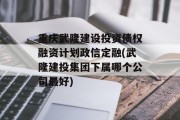 重庆武隆建设投资债权融资计划政信定融(武隆建投集团下属哪个公司最好)