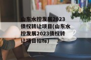 山东水控发展2023债权转让项目(山东水控发展2023债权转让项目招标)