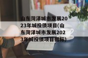 山东菏泽城市发展2023年城投债项目(山东菏泽城市发展2023年城投债项目招标)