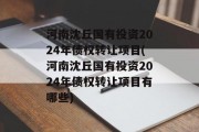 河南沈丘国有投资2024年债权转让项目(河南沈丘国有投资2024年债权转让项目有哪些)