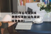 2023年山东晟润水务债权项目(山东晟润水务集团)