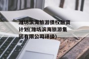 潍坊滨海旅游债权融资计划(潍坊滨海旅游集团有限公司评级)