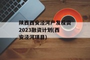 陕西西安泾河产发投资2023融资计划(西安泾河项目)