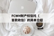 FCWH财产权信托（首款政信）的简单介绍