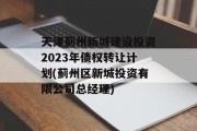 天津蓟州新城建设投资2023年债权转让计划(蓟州区新城投资有限公司总经理)