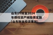 山东DY财金2024年债权资产城投债定融(山东财金投资集团)