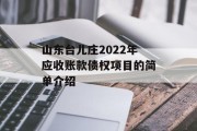 山东台儿庄2022年应收账款债权项目的简单介绍