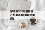 邹城市SCWL债权资产拍卖二期(邹城拍卖网)