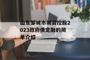 山东邹城市城资控股2023政府债定融的简单介绍