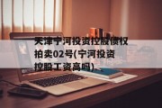 天津宁河投资控股债权拍卖02号(宁河投资控股工资高吗)