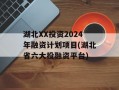 湖北XX投资2024年融资计划项目(湖北省六大投融资平台)