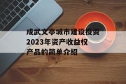 成武文亭城市建设投资2023年资产收益权产品的简单介绍