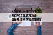 政府债-天津市宁投控股2023融资定融计划(天津宁河投资控股)