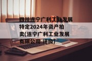 四川遂宁广利工业发展特定2024年资产拍卖(遂宁广利工业发展有限公司 评级)