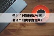 遂宁广利债权资产(阿里资产拍卖平台官网)