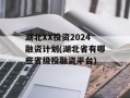 湖北XX投资2024融资计划(湖北省有哪些省级投融资平台)