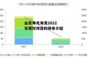 山东寿光海发2022年债权项目的简单介绍