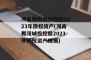 河南舞阳城投控股2023年债权资产(河南舞阳城投控股2023年债权资产规模)