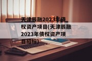 天津辰融2023年债权资产项目(天津辰融2023年债权资产项目招标)