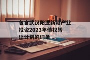 包含武汉阳逻新港产业投资2023年债权转让计划的词条