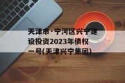 天津市·宁河区兴宁建设投资2023年债权一号(天津兴宁集团)