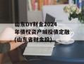 山东DY财金2024年债权资产城投债定融(山东省财金投)