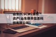 山东ZCSCWL债权资产(山东债市信息科技有限公司)