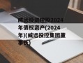 威远投资控股2024年债权资产(2024年)(威远投控集团董事长)