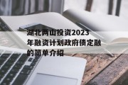湖北两山投资2023年融资计划政府债定融的简单介绍