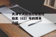 天津宁河投资控股债权拍卖（02）号的简单介绍