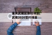 重庆武隆区债权项目(武隆2020签约项目)