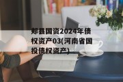 郏县国资2024年债权资产03(河南省国投债权资产)